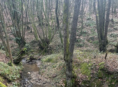 Maltepeliler’den Polonezköy’de doğa yürüyüşü